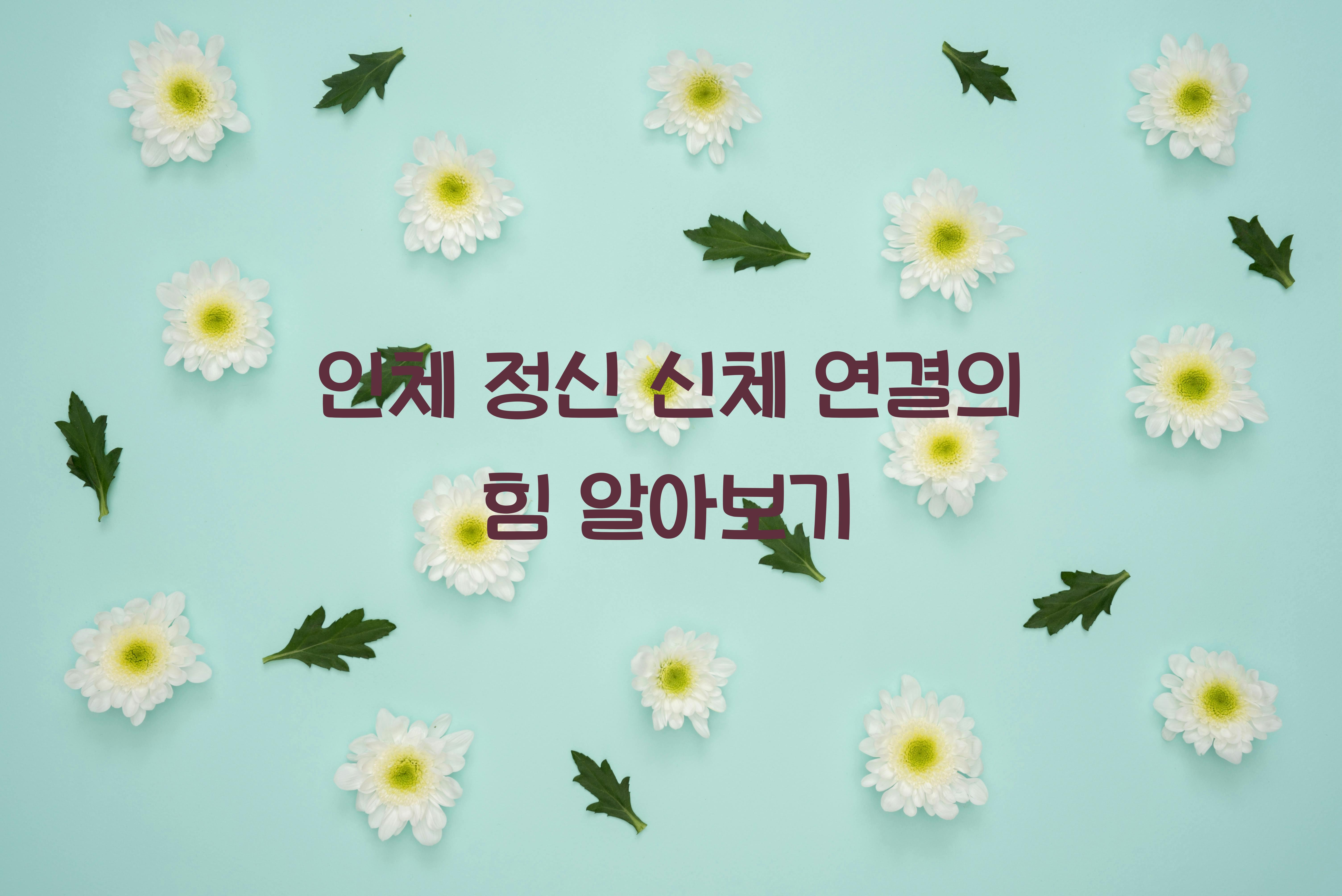인체 정신 신체 연결