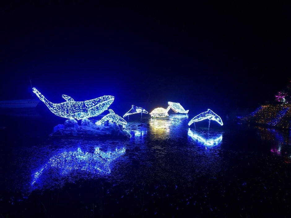 태안 봄꽃정원 &amp; 태안빛축제｜하루가 두 번 예쁜 곳