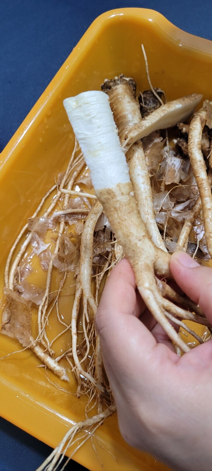 도라지 껍질 제거