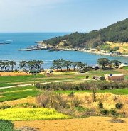 완도여객선터미널 청산도 배편 예약과 시간표 및 운임요금 및 주차요금 관련사진