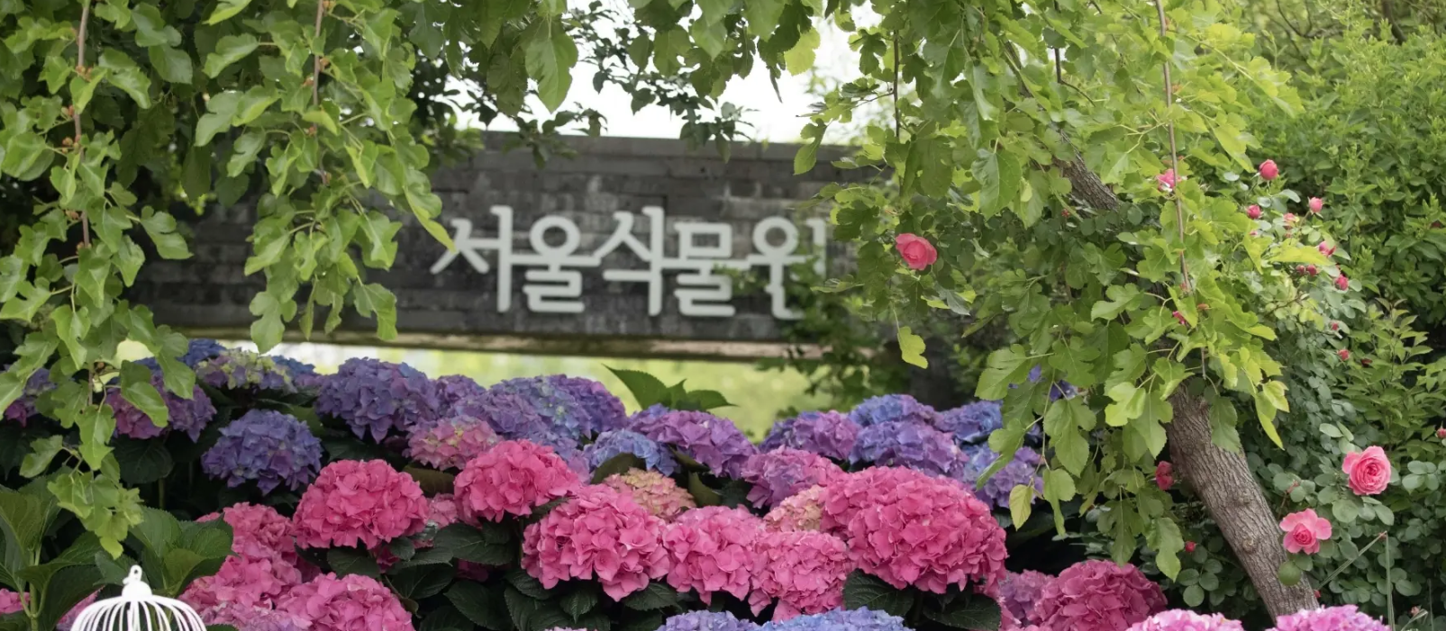 서울식물원 전경