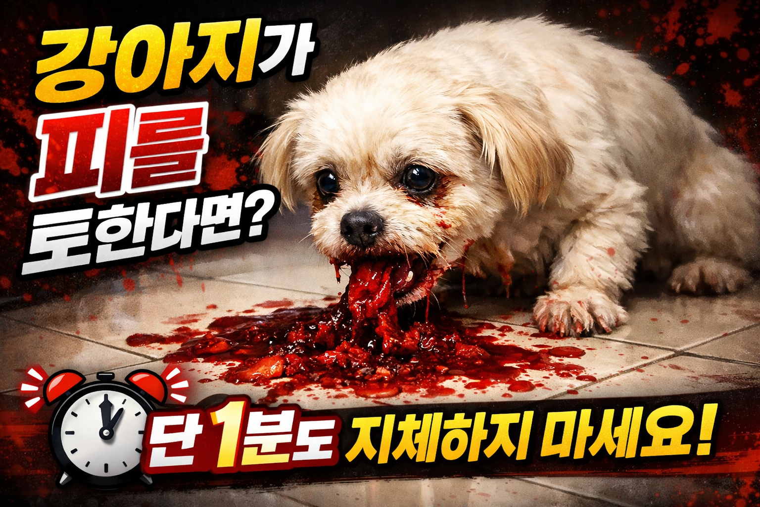 강아지가 피를 토한다면
