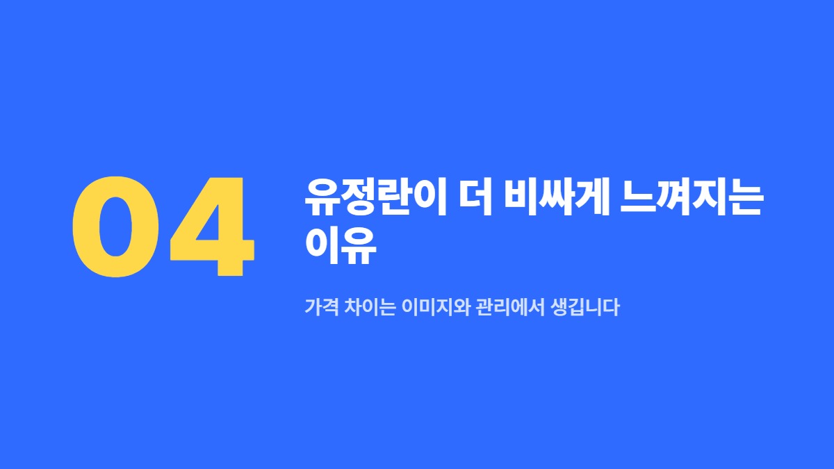 유정란이 더 비싸게 느껴지는 이유 — 가격 차이는 이미지와 관리에서 생깁니다