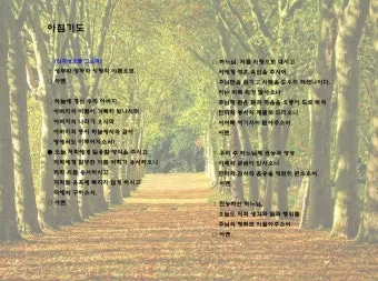 천주교 하루를 마무리하는 감사한 저녁기도문 모음_17