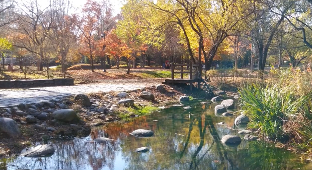 서울숲-단풍