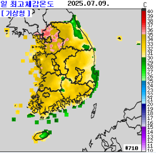 2025년 현재 폭염 상황 분석