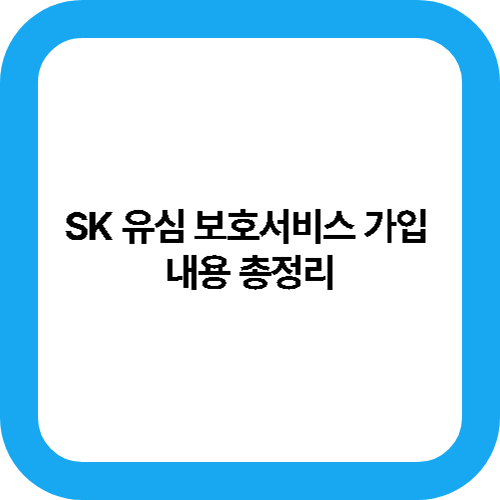 SK 유심 보호서비스 가입 내용 총정리 대표사진