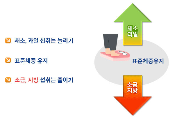 고혈압 초기증상 무시하면 생명 위협! 꼭 알아야 할 조기 신호와 관리법