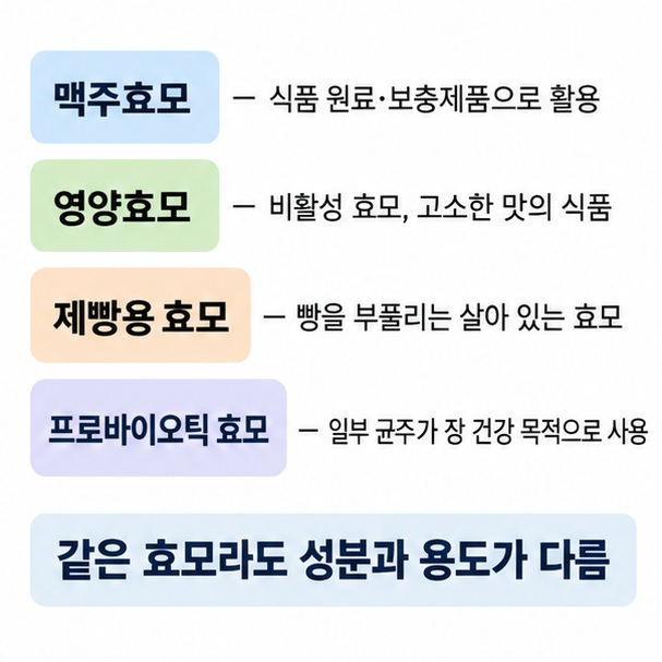 맥주효모 영양효모 제빵용 효모 프로바이오틱 효모의 용도와 특징 차이를 비교한 표