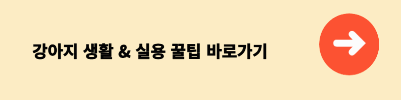 강아지 생활 &amp; 실용 꿀팁