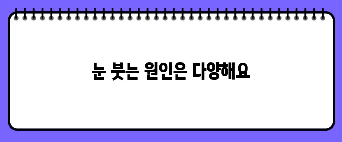 눈이 붓는 증상