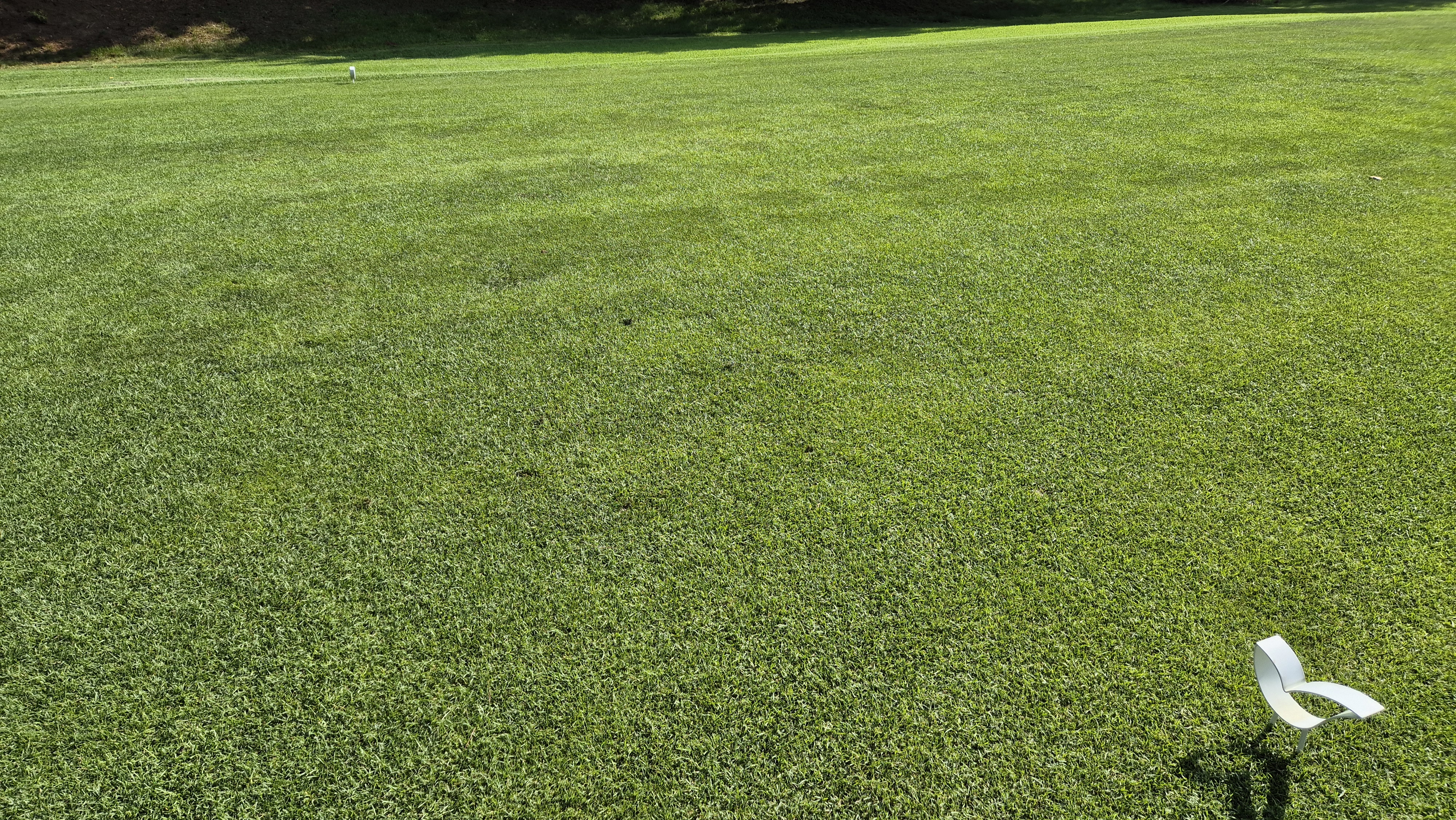 태광cc 북-서 코스 라운드 후기