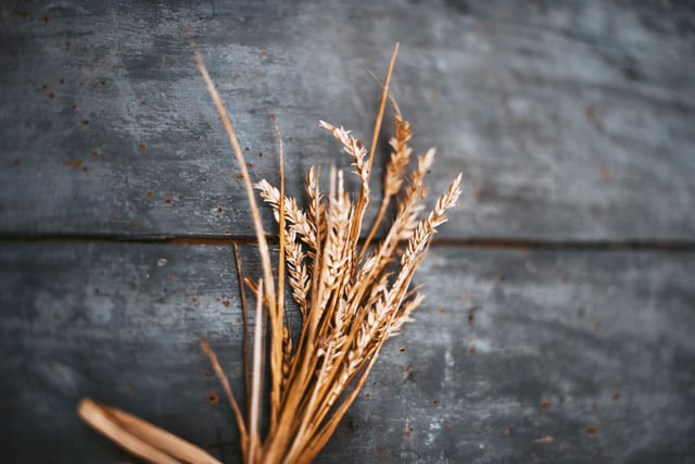 혈당을 떨어트리는 음식 - 통곡물