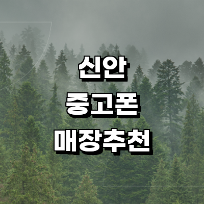 신안군 중고폰