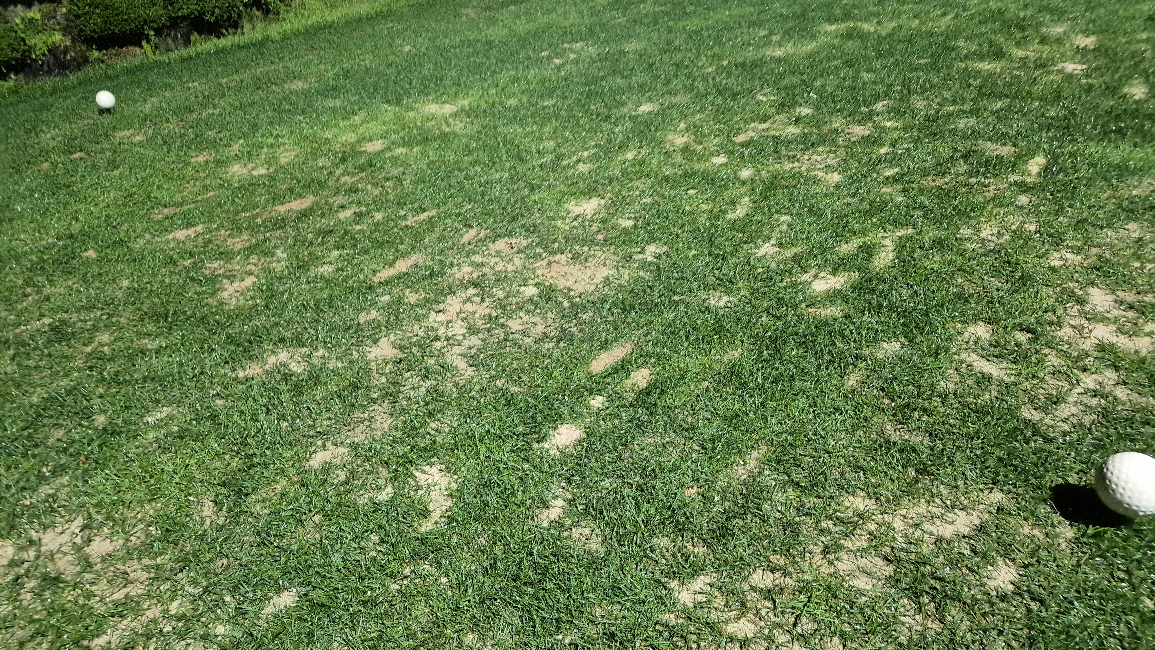 블루원용인cc 티잉구역상태