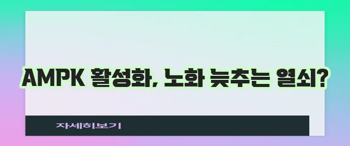 AMPK 효소 활성화로 노화를 늦추는 것이 중요합니다