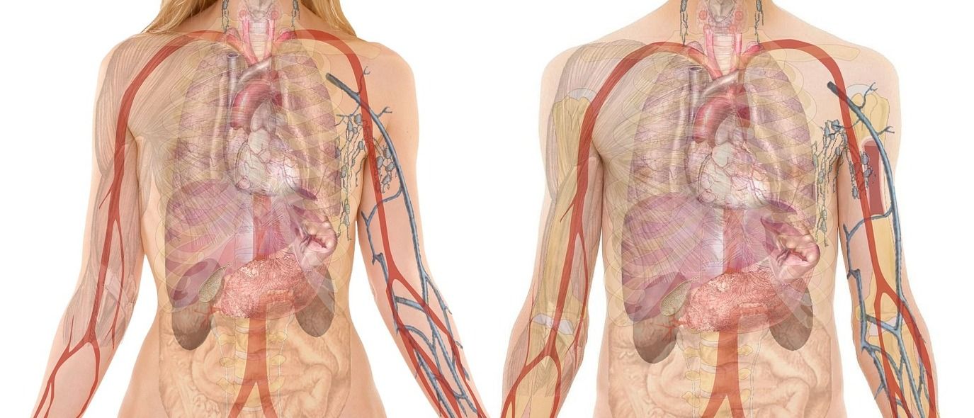 신장 건강을 망치는 나쁜 음식과 식습관