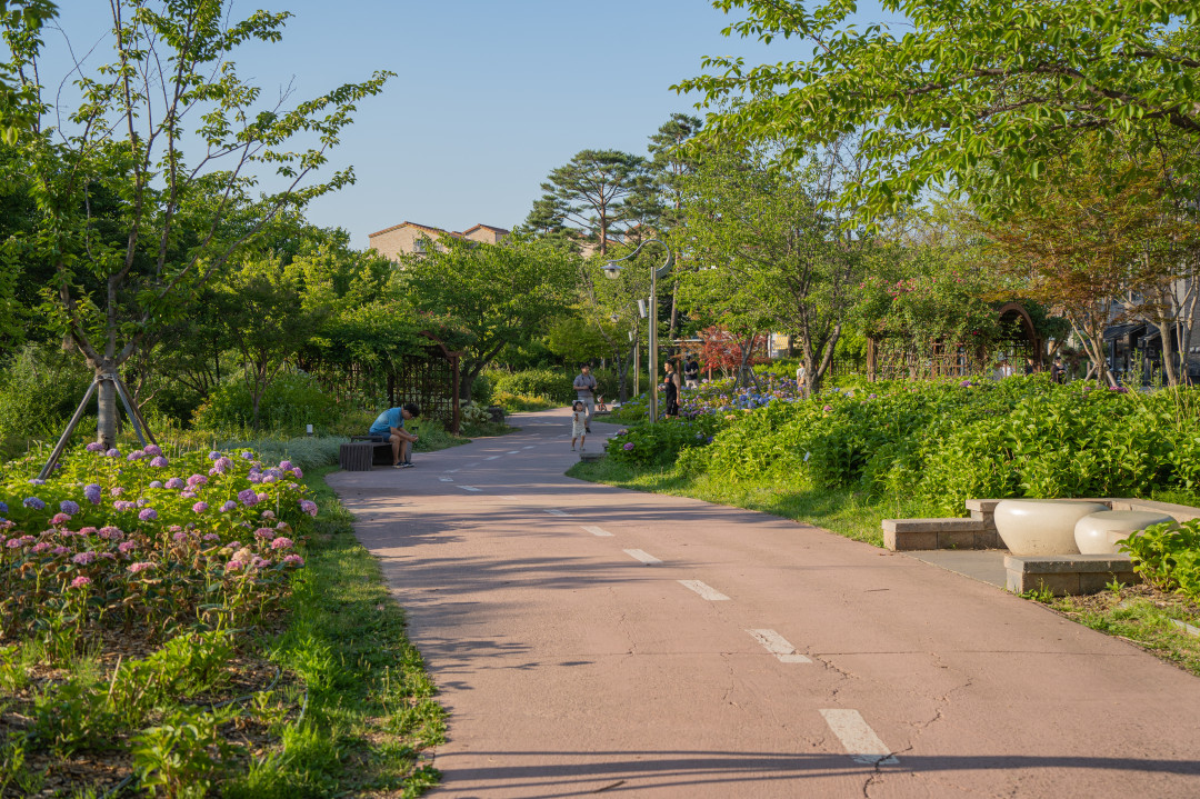 신동 수변공원 수국정원