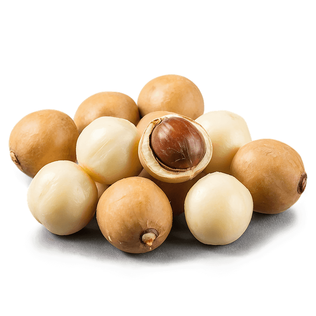 마카다미아의-효능