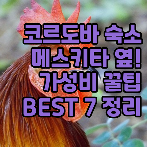 코르도바 여행 숙소 베스트 7 메스키..