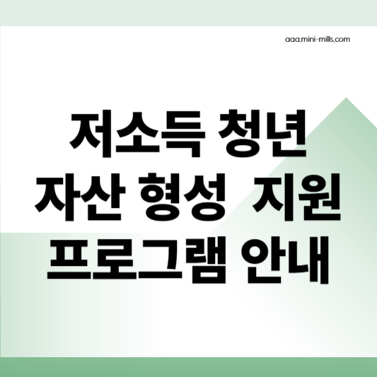 청년 자산