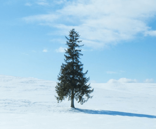 겨울 해외여행 추천