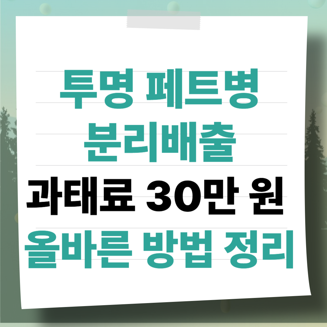 [2026] 투명 페트병 분리배출 안 하면 과태료 30만 원? 올바른 방법 정리