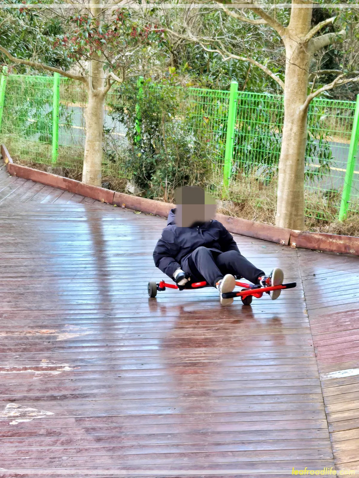 제주-김녕-미로-공원-발자전거-타는-아들
