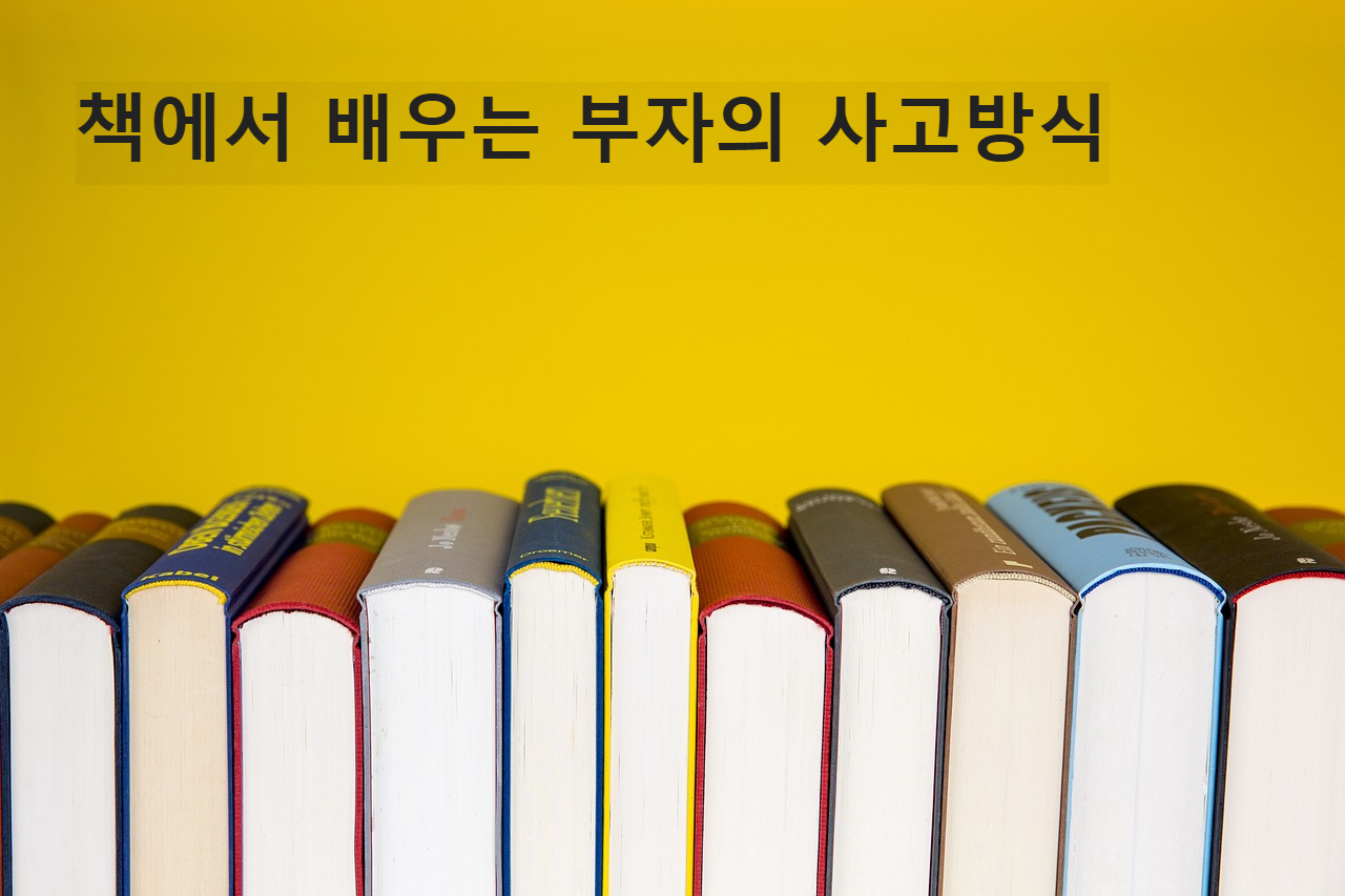 책 사진