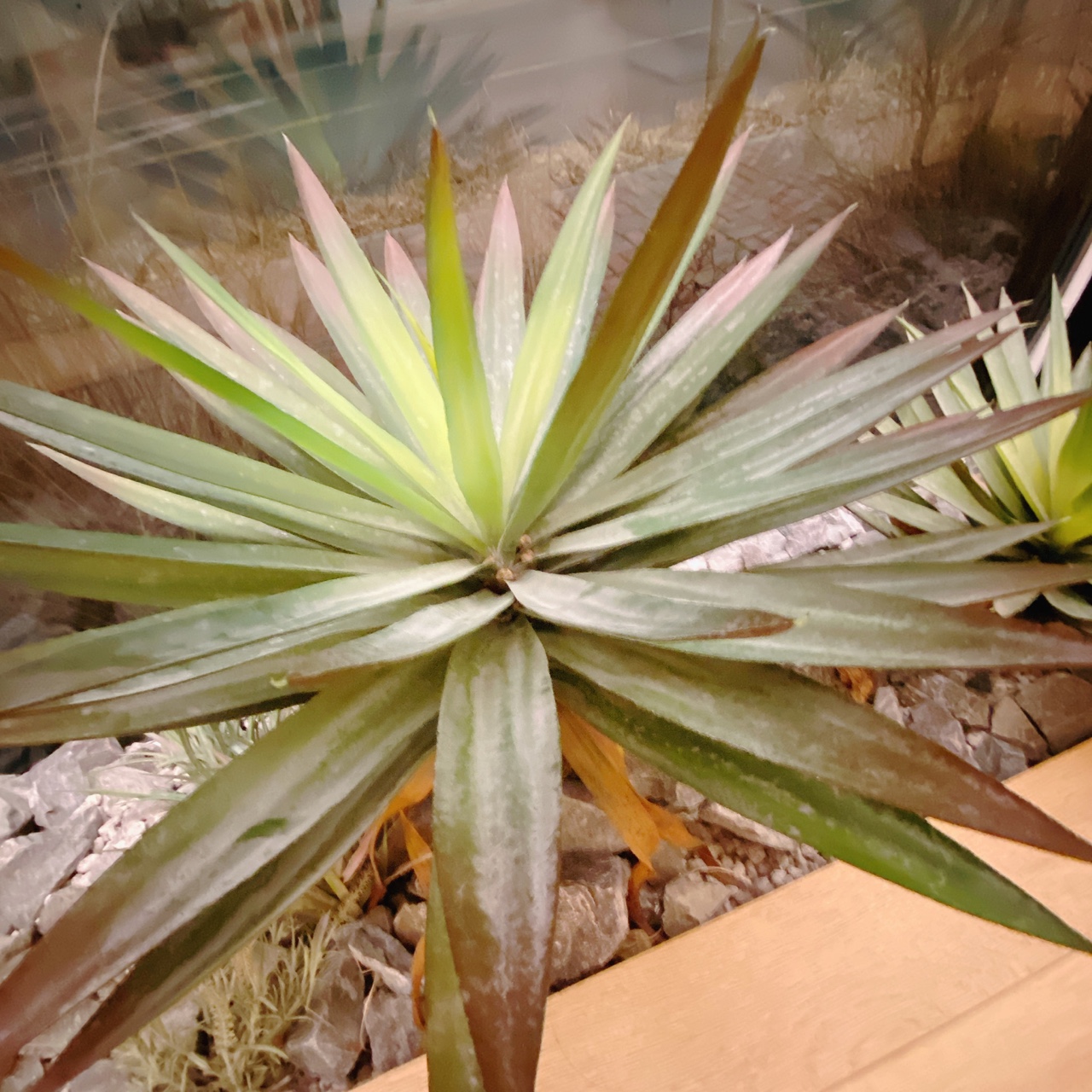 동탄호수공원 포근 베이커리 카페