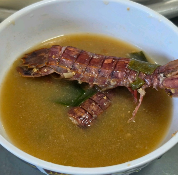 고성-회백반-수양식당
