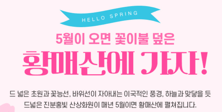 황매산철쭉제