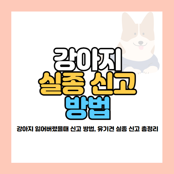 강아지 잃어버렸을때