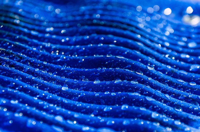 골든캐피탈 대부 1