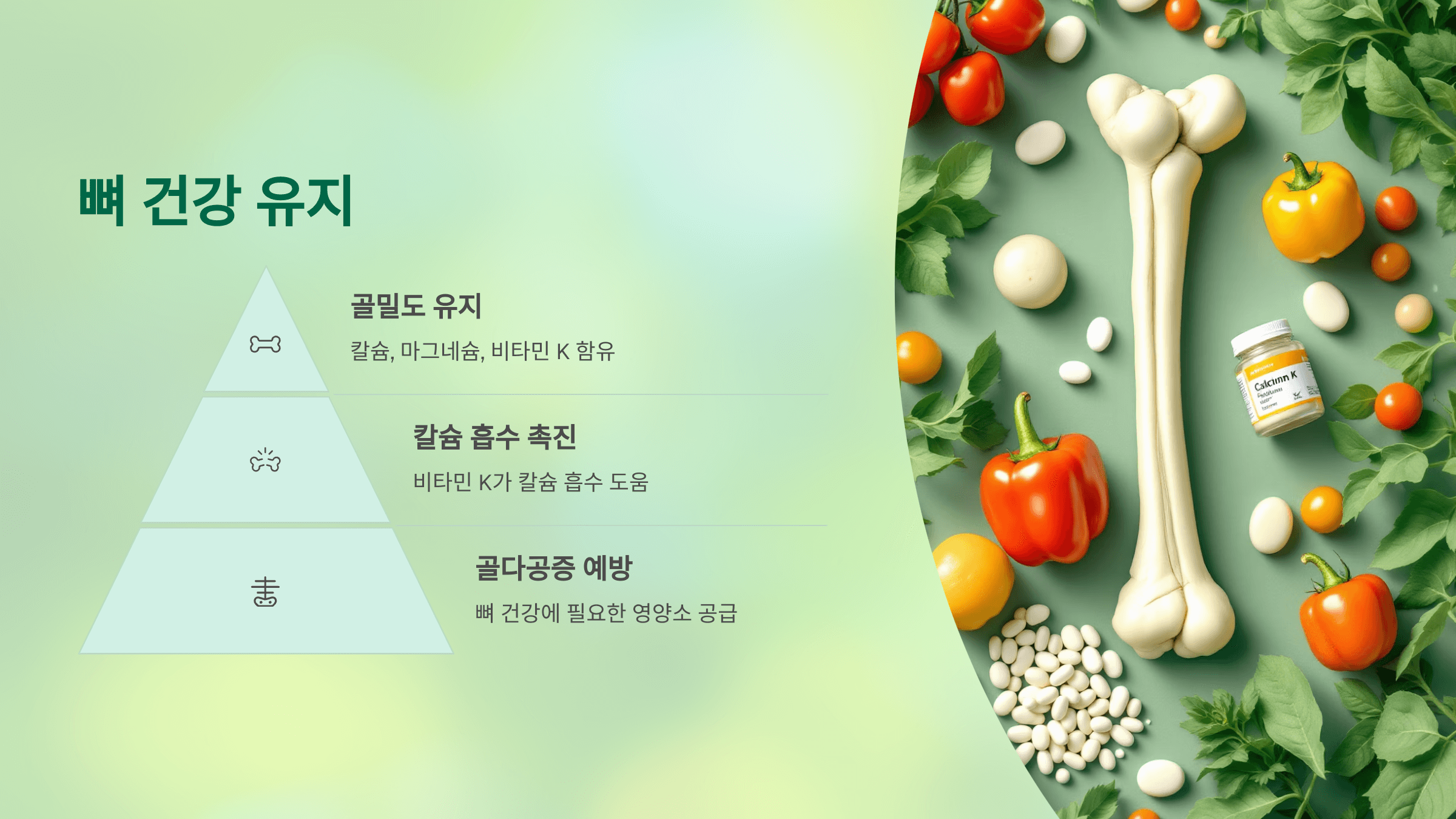 파프리카 사진입니다.