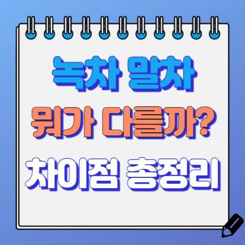 녹차 말차 홍차 차이점