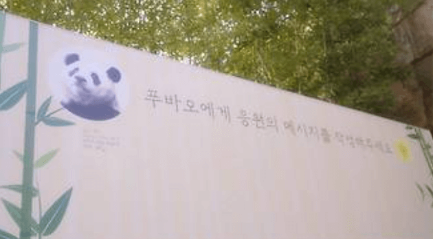 안녕 푸바오 마지막 방송 동물농장 실시간 다시보기