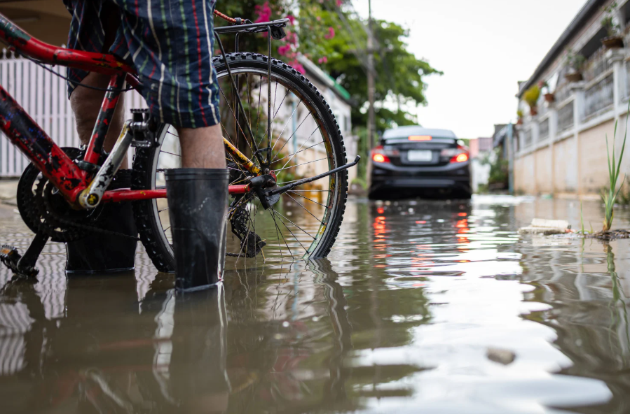 시민 행동요령과 실시간 정보 확인 방법