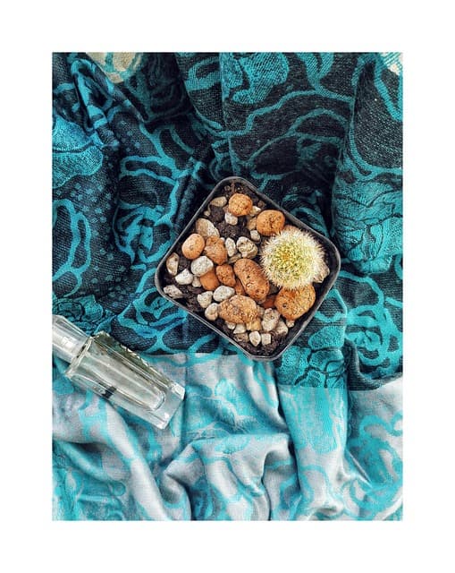 머스크 향료가 잔향에 오래 남는 이유 기억에 남는 향은 언제까지 머물까?