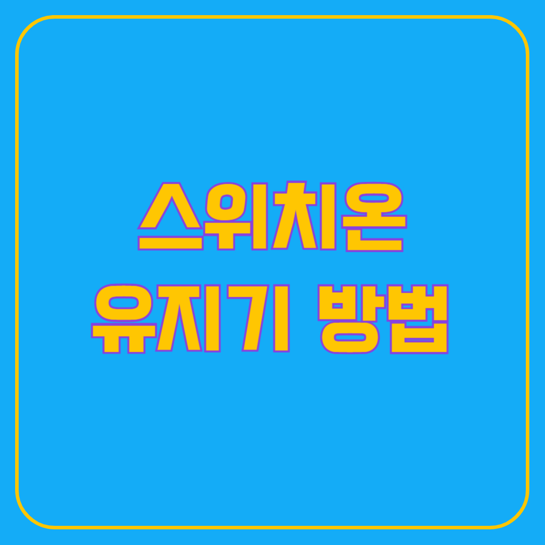 스위치온 다이어트 유지기 방법 실천사항