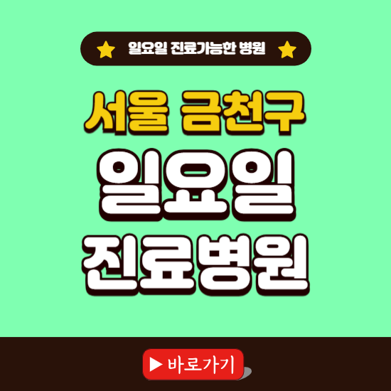 서울 금천구 일요일 진료 가능한 병원 ❘ 주말 문여는 곳 총정리 (소아과, 내과, 안과, 치과, 피부과, 정형외과, 산부인과)