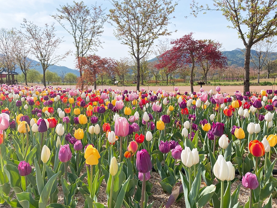 거창 가볼만한곳 베스트10