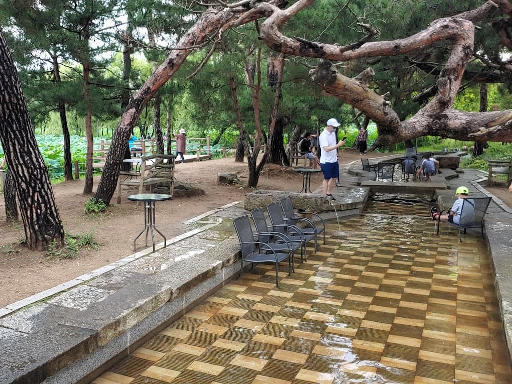 세미원 세심로 인근 족욕 수로 체험 공간