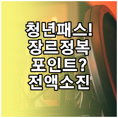 청년문화예술패스 이용 가능 장르와 포..