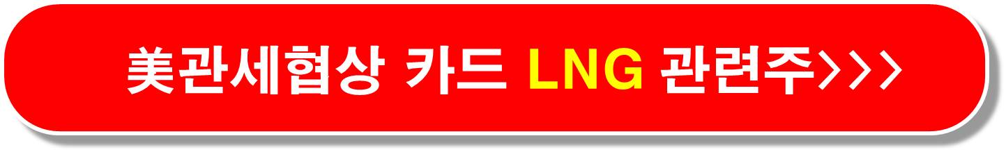 LNG관세협상