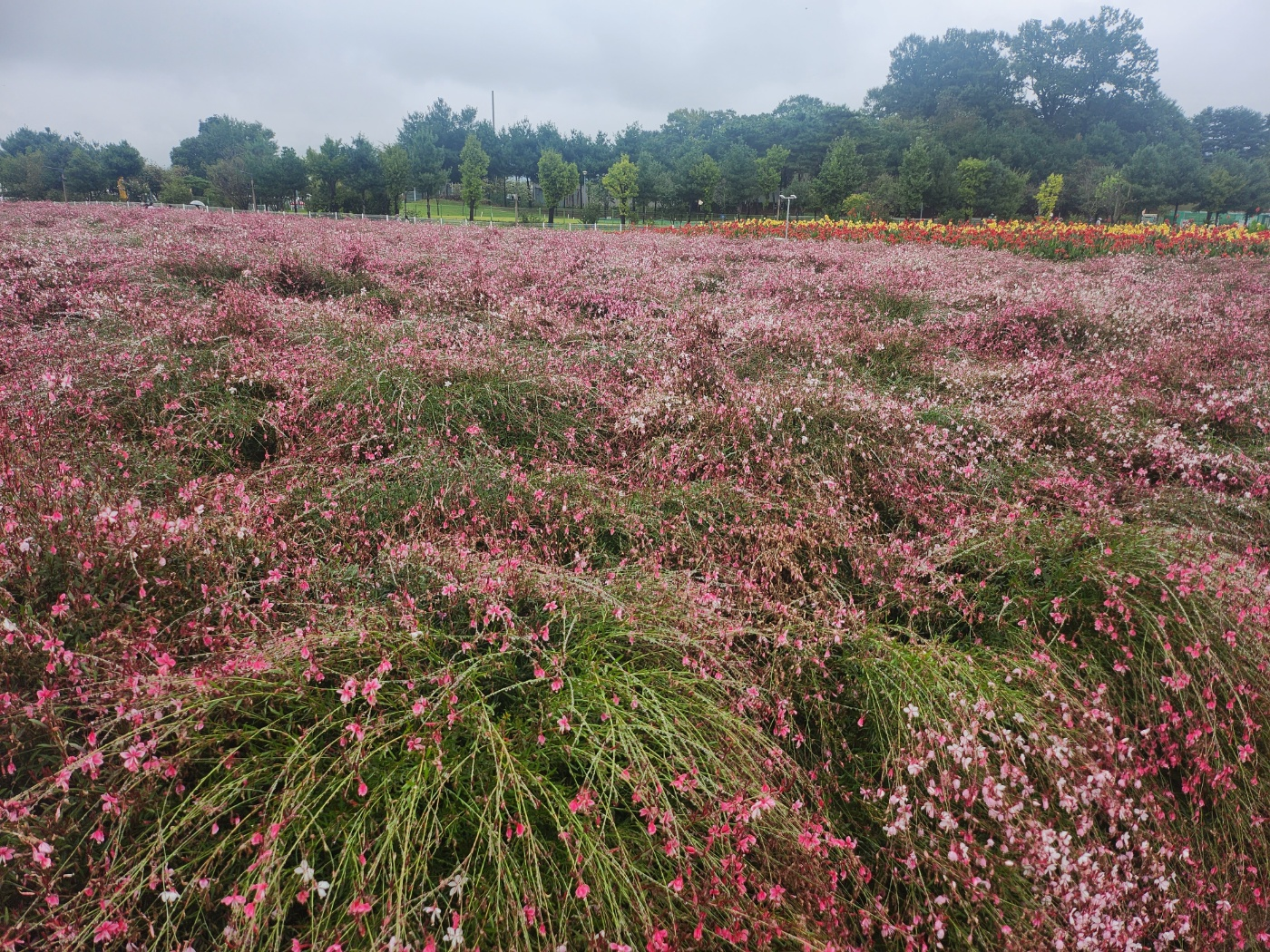 가족여행지추천
