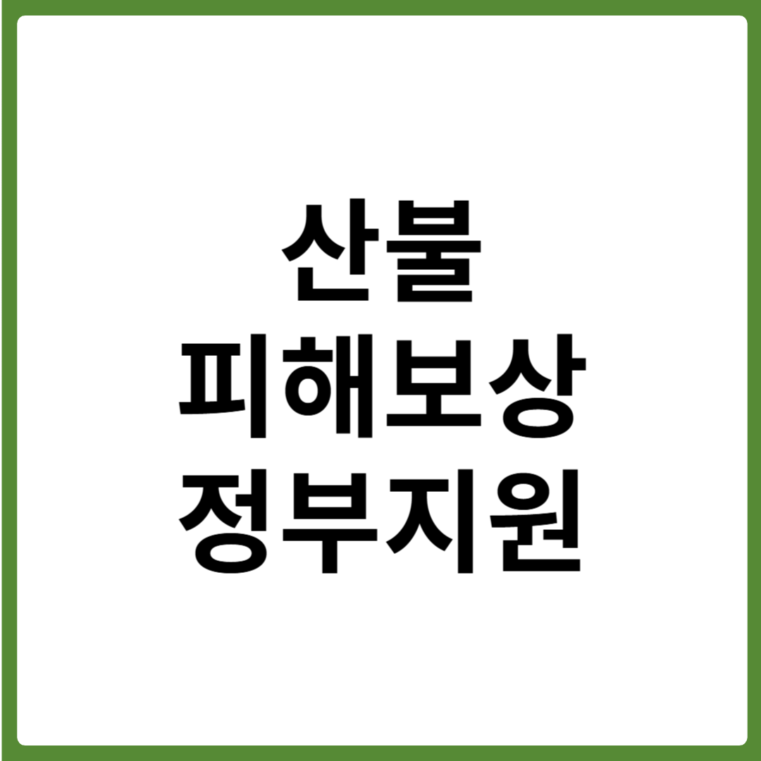산불 피해보상 정부 지원 및 보상 신청방법