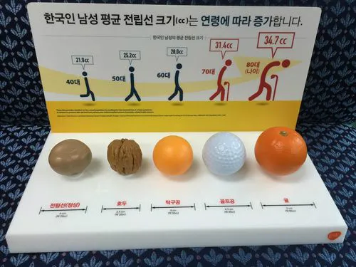 전립선비대증 치료