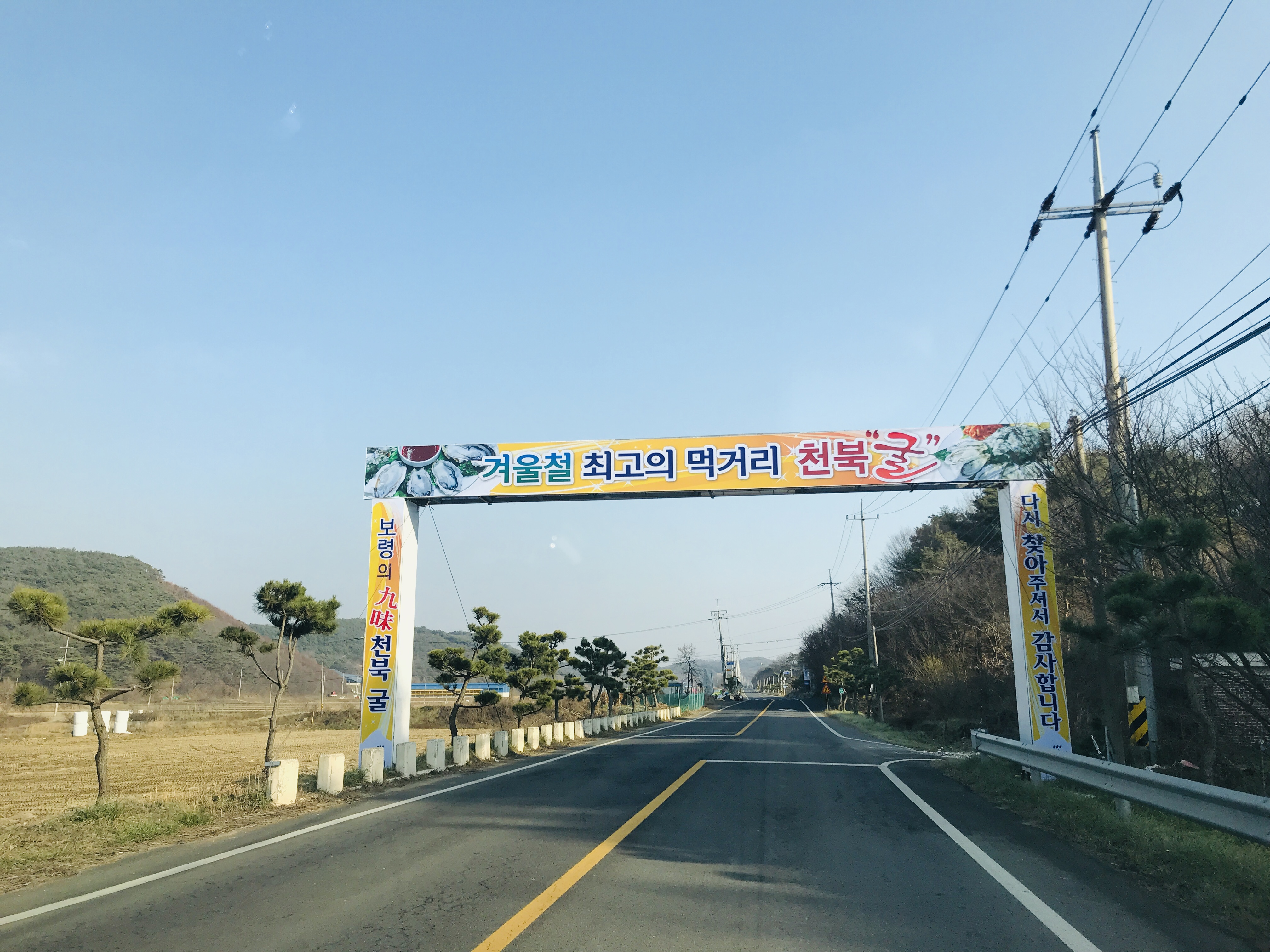 2024 천북 굴 축제 기본정보와 프로그램 정리