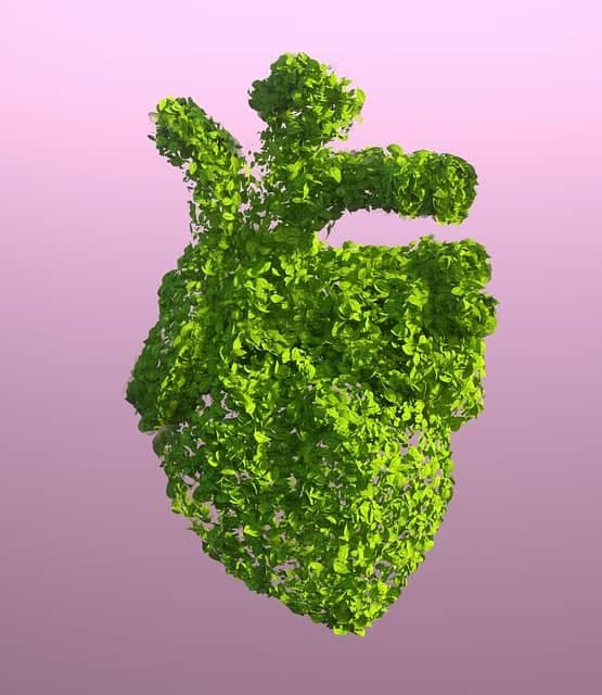 당뇨와 신장 건강